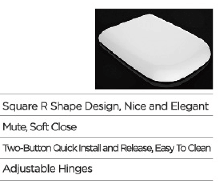 Square R Shape Design, Nice And Elegant BP0206TB