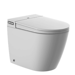 Electronic Bidet T4